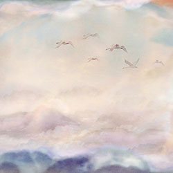 ����-ԭ�����Ʊڻ� CG-NDC5214