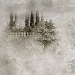 �ű���԰-ԭ�����Ʊڻ� CG-NDC5218