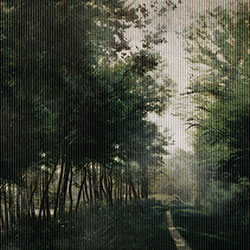 ����-ԭ�����Ʊڻ� CG-NDC5223