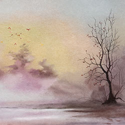 ����羰-ԭ�����Ʊڻ� CG-NDC5228