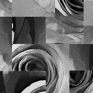 õ��-ԭ�����Ʊڻ� CG-NDC5254