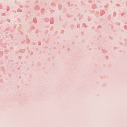 �仨-ԭ�����Ʊڻ� CG-NDC5260