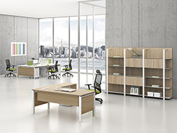 ʱ�м�Լ�ִ����ְԱ�� CG-A1001