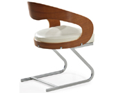 ��ľ����