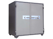 �����չ� CG-FPC-130110