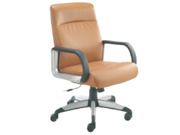 ��Ƥ�а���