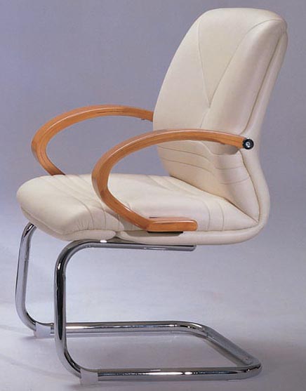 �칫��|��ͳ��Ƥ������|�칫�Ҿ�|��Ƥ������ CG-JDDBY-292