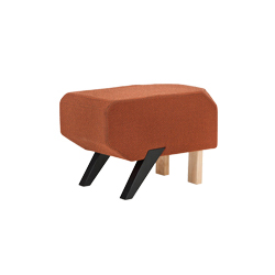 ���� CG-SD007